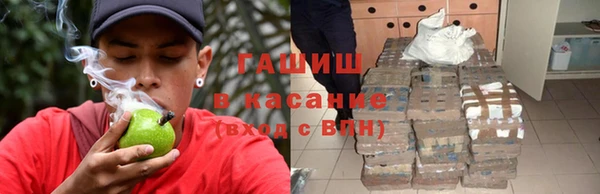 индика Краснотурьинск