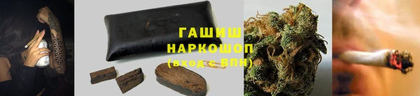 индика Краснотурьинск