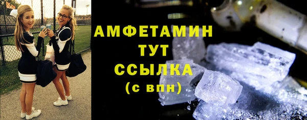 индика Краснотурьинск