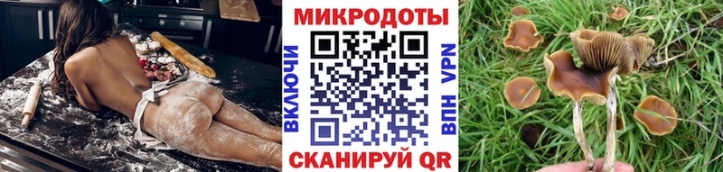 Галлюциногенные грибы Psilocybe  Купить  Арск 